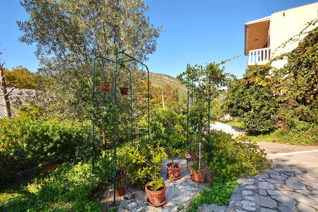 Apartment Rita Tivat Buitenkant foto